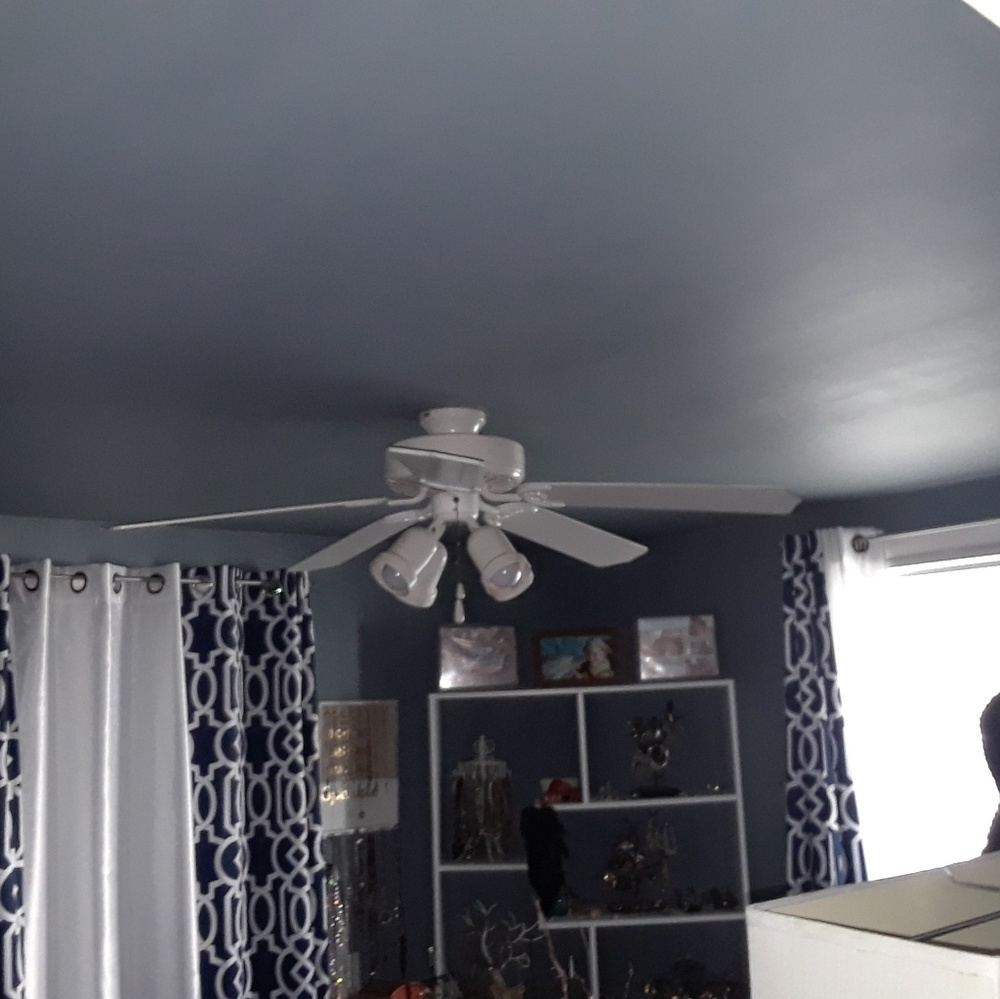 Cieling fan and lights